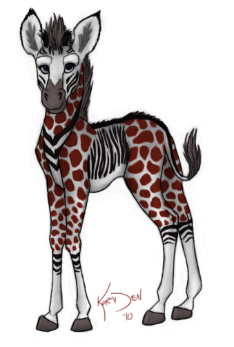 Zebra Foal / Giraffe Calf